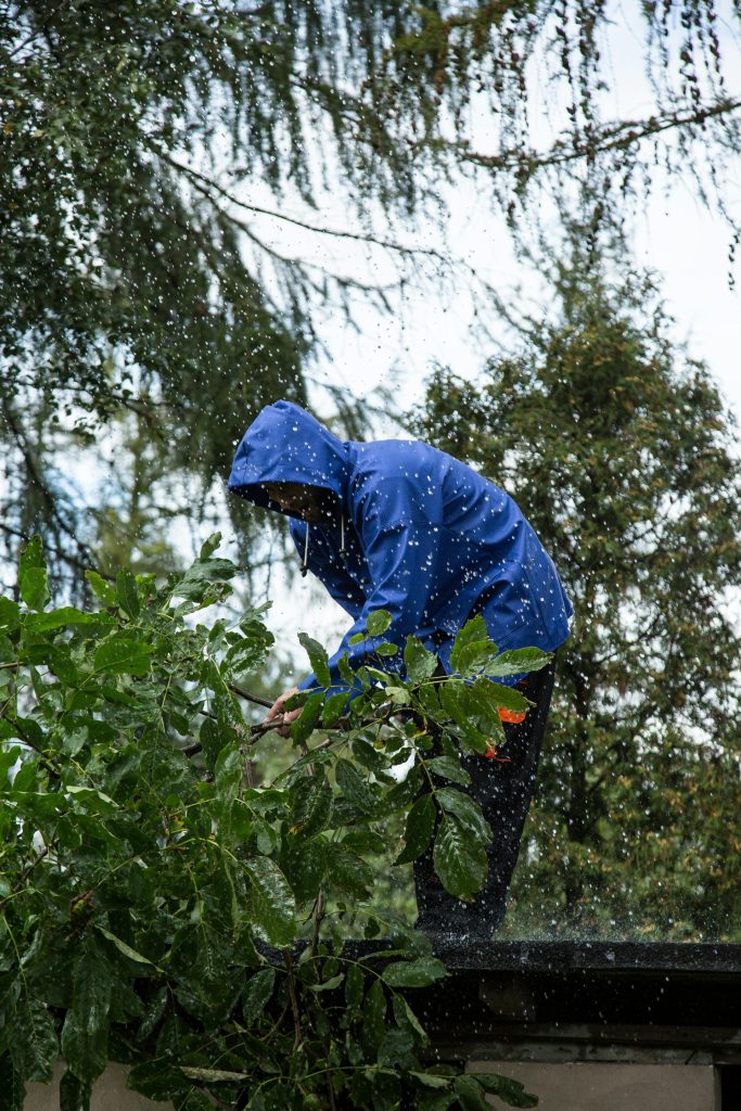 Ein Gärtner in blauer Regenkleidung beschneidet Bäume im Freien und achtet dabei besonders auf die nassen Wetterbedingungen.