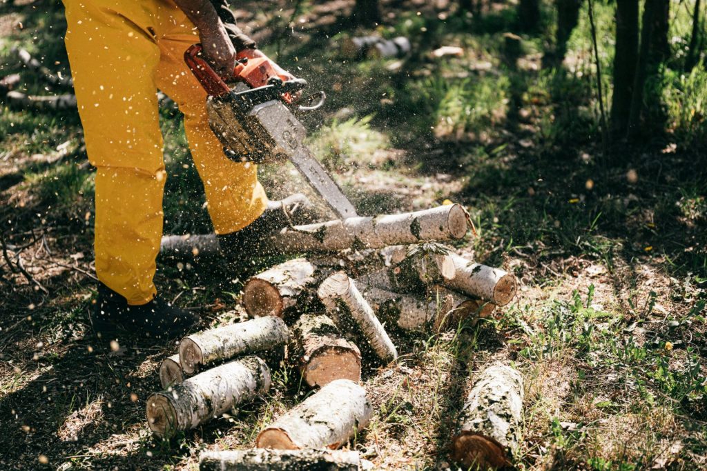 Unterer Bildteil: Anonyme Person in gelber Hose sägt an einem Sommertag im Wald einen Baumstamm mit einer Benzin-Kettensäge.