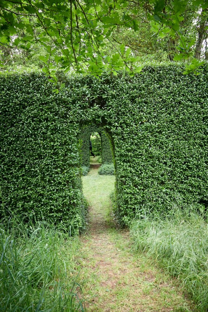 A path through a hedge tunnel in a park