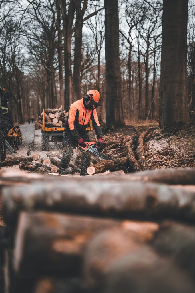 Mann in orangefarbener Jacke und schwarzer Hose sitzt tagsüber auf einem braunen Baumstamm.